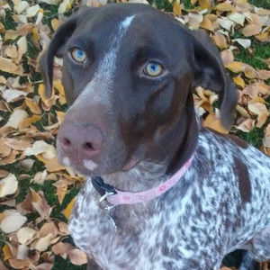 Meet your Posher, Emma